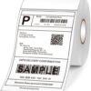 5 Rollos Etiqueta 100x150mm